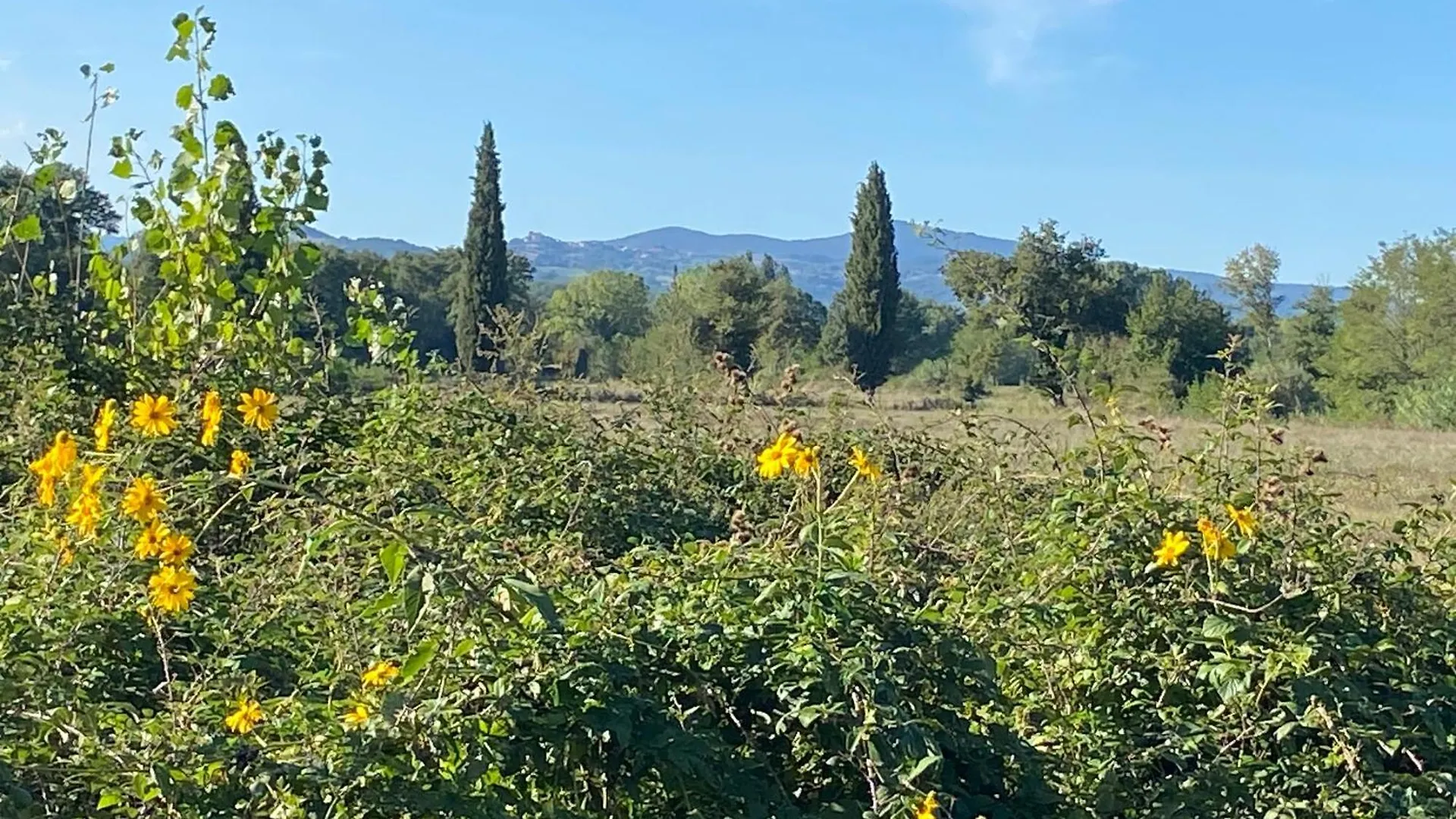 Il Casale Delle Rose Aparthotel Paganico  Italië