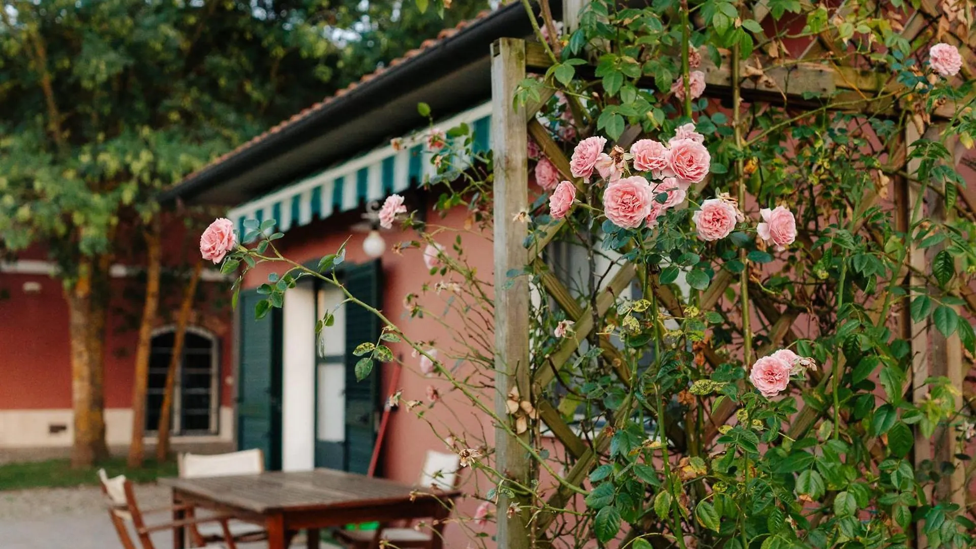 Il Casale Delle Rose Aparthotel Paganico  Paganico (Grosseto)