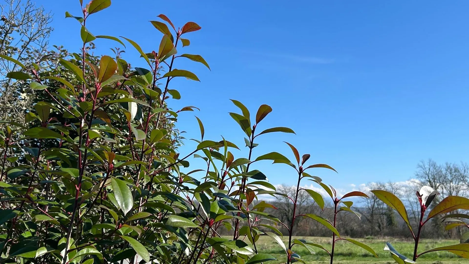 Aparthotel Il Casale Delle Rose Civitella Paganico