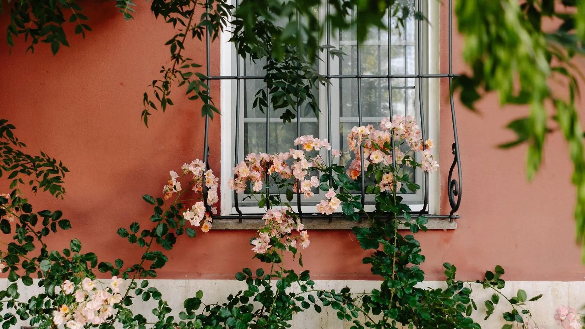 Il Casale Delle Rose Apart otel Paganico